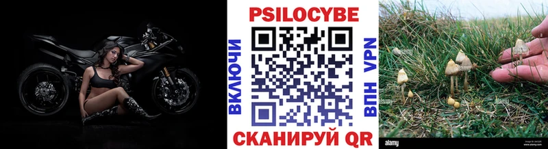 OMG онион  Мещовск  Галлюциногенные грибы ЛСД 